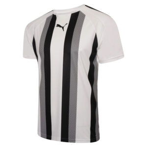 Puma Team LIGA Striped Jersey 足球波衫球衣上衣